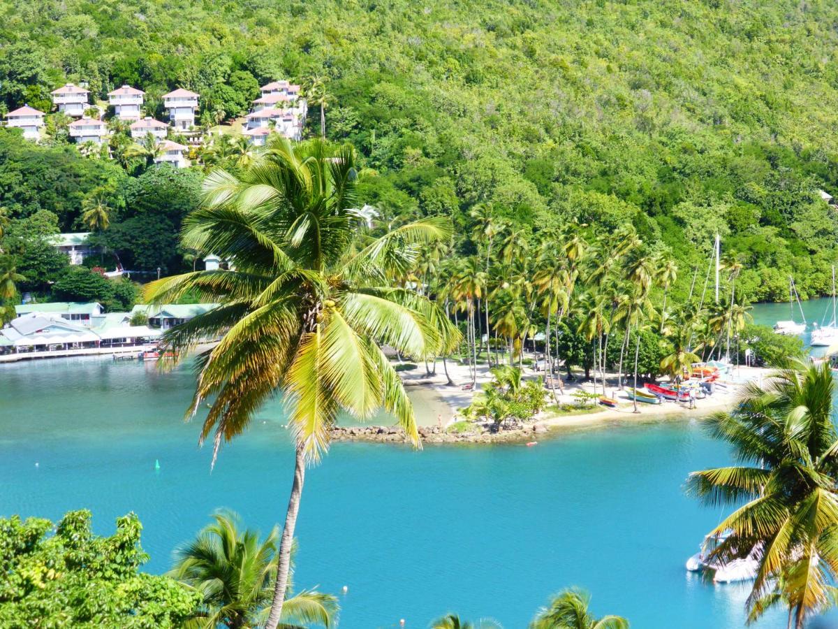 Marigot Palms Luxury Caribbean Apartment Suites Esterno foto
