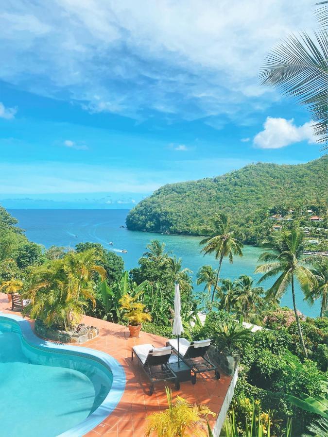 Marigot Palms Luxury Caribbean Apartment Suites Esterno foto