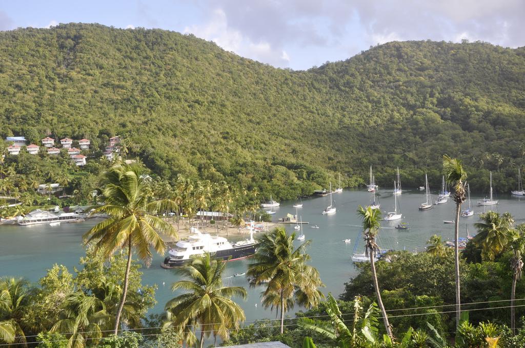 Marigot Palms Luxury Caribbean Apartment Suites Esterno foto