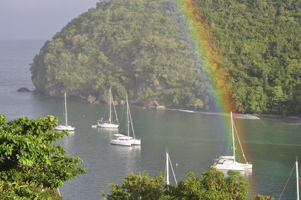 Marigot Palms Luxury Caribbean Apartment Suites Esterno foto
