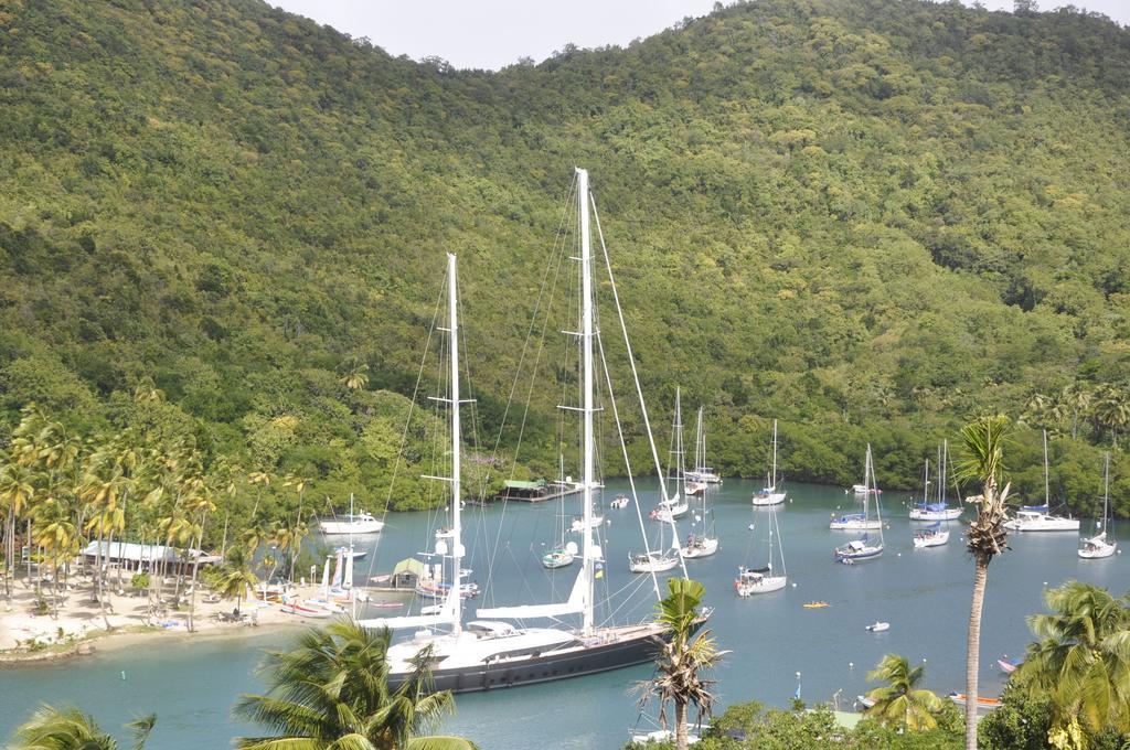 Marigot Palms Luxury Caribbean Apartment Suites Esterno foto